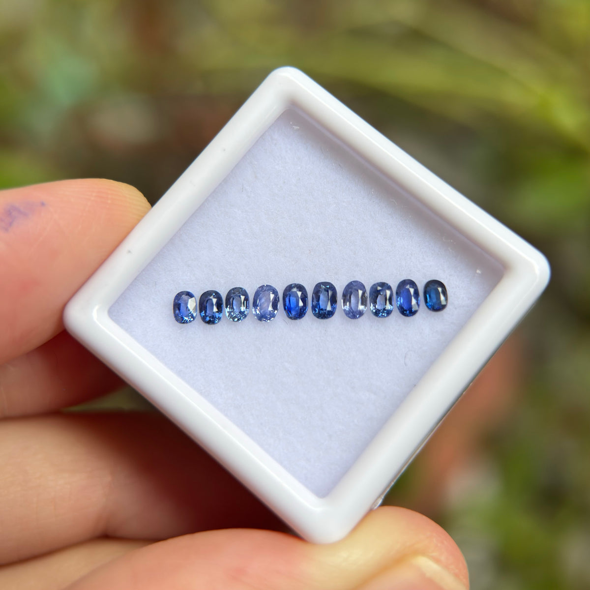 0,91ct/ 10Pcs Natural Blue Sapphire Viet Nam. Cushion & Oval Shape. No Treatment Sapphire Luc Yen.