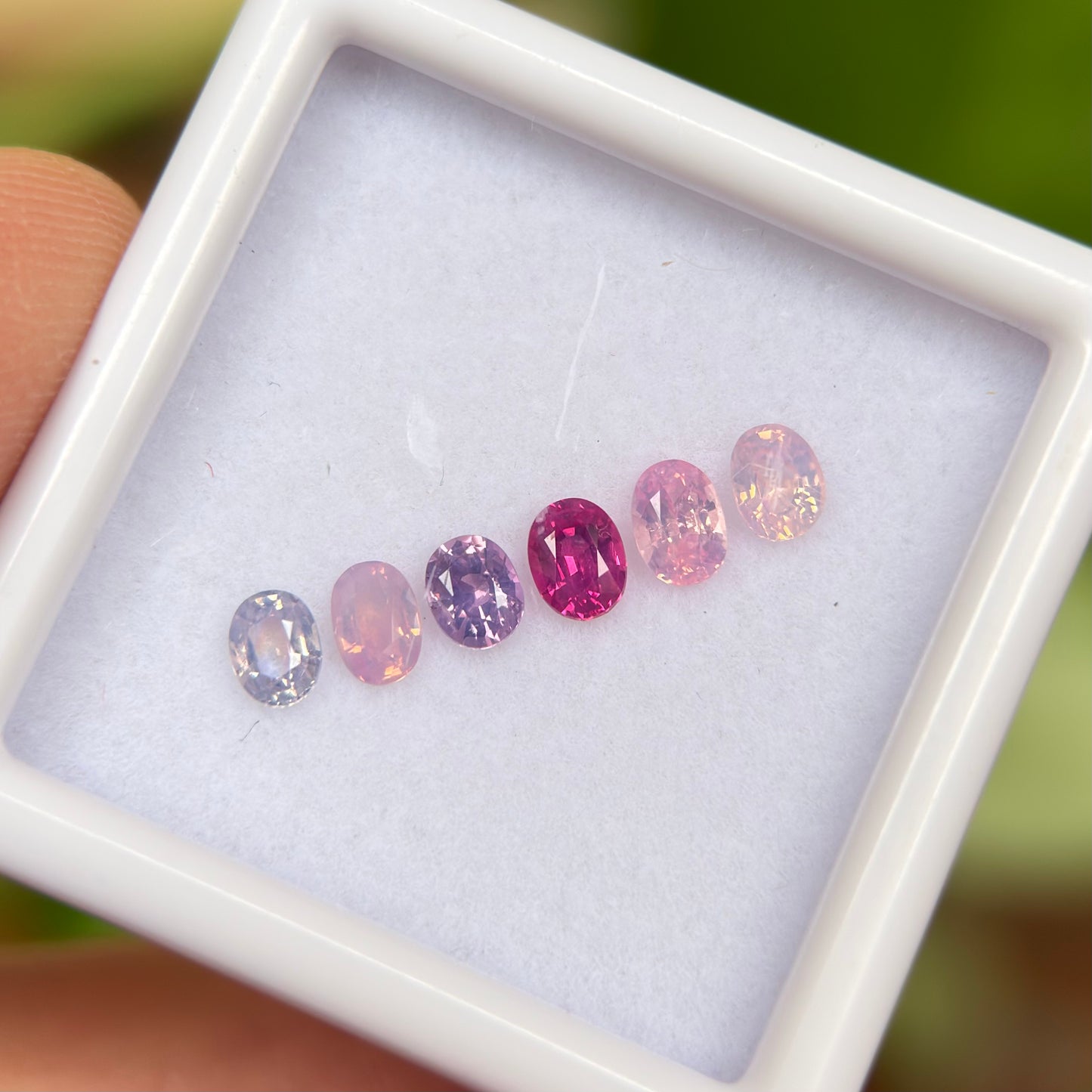 0.95ct/6Pcs Natural Mix Color Milky Sapphire Vietnam. Oval Shape.