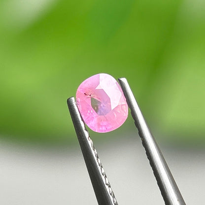 0,39ct Natural Pink Milky Sapphire Vietnam. Cushion Shape. No Treatment Milky Sapphire Luc Yen.