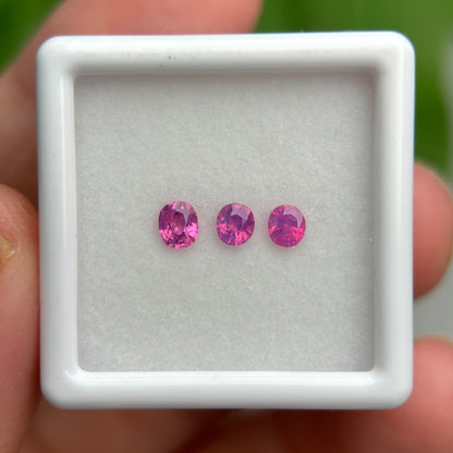 0,55ct/3Pcs Natural Pink Milky Sapphire Vietnam. Cushion Shape. No Treatment Milky Sapphire Luc Yen.