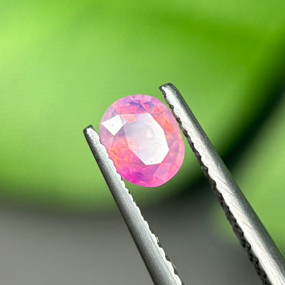 0,54 Natural Pink Milky Sapphire Vietnam. Oval Shape. No Treatment Milky Sapphire Luc Yen.