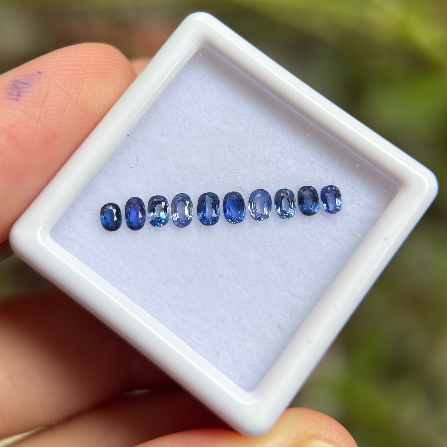 0,91ct/ 10Pcs Natural Blue Sapphire Viet Nam. Cushion & Oval Shape. No Treatment Sapphire Luc Yen.