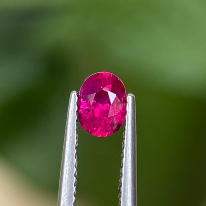 0.60 ct Natural Ruby Viet Nam. Oval Shape. No treatment.