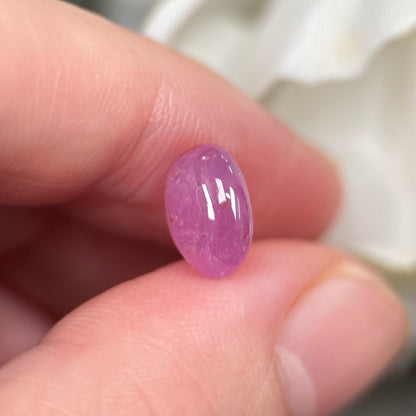 3,29ct Natural Pink Cacbochon Sapphire Viet Nam. No Treatment Sapphire Luc Yen.