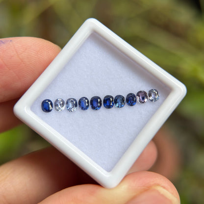 1,25ct/ 10Pcs Natural Blue & White Sapphire Viet Nam. Cushion Shape. No Treatment Sapphire Luc Yen.