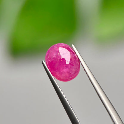 3,16ct Natural Ruby Cacbochon Viet Nam. No treatment Ruby Luc Yen.