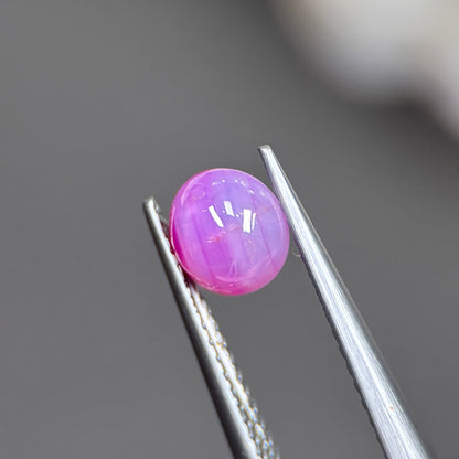 1,26ct Natural Pink Cacbochon Sapphire Viet Nam. No Treatment Sapphire Luc Yen.