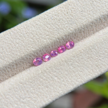 0.78 ct / 5Pcs Natural Pink  Milky Sapphire Viet Nam. Cushion Shape. No treatment.