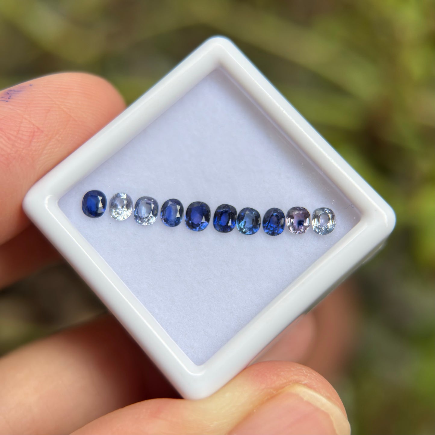 1,25ct/ 10Pcs Natural Blue & White Sapphire Viet Nam. Cushion Shape. No Treatment Sapphire Luc Yen.
