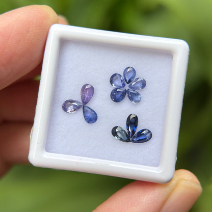 1,65ct/ 11Pcs Natural Blue & Purple Sapphire Viet Nam. Pear Shape. No Treatment Sapphire Luc Yen.