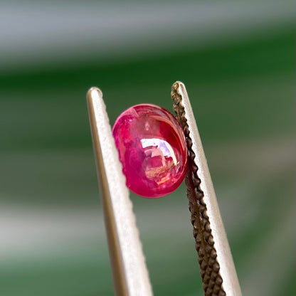 0.94 ct Natural Ruby Viet Nam. Cacbochon Cut. No treatment.