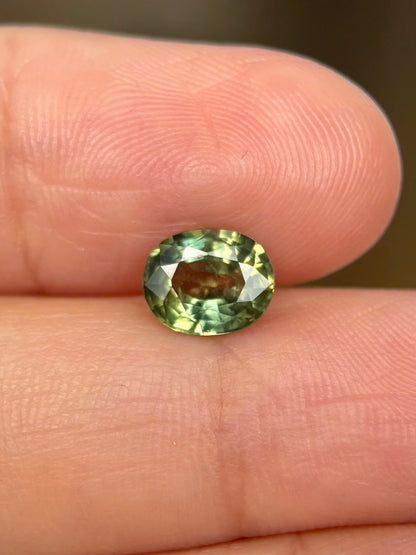 1.65ct Natural Yellowish Green Sapphire Vietnam. Oval Shape