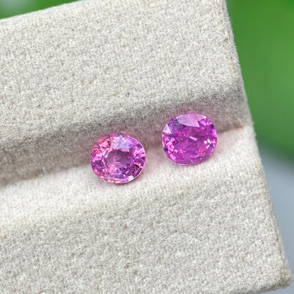 1.46 ct/ 2Pcs Natural Pink Milky Sapphire Vietnam. Cushion Shape. No Treatment.