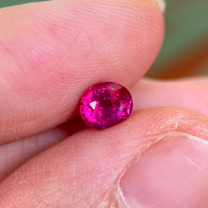 0.91 ct Natural Ruby Viet Nam. Oval Shape. No treatment.
