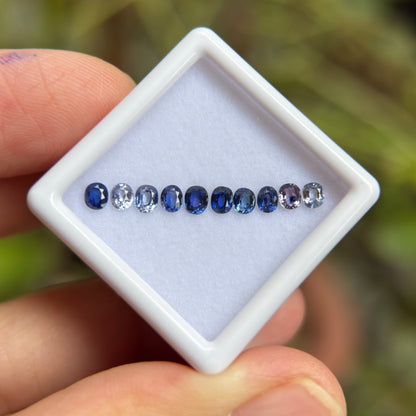 1,25ct/ 10Pcs Natural Blue & White Sapphire Viet Nam. Cushion Shape. No Treatment Sapphire Luc Yen.