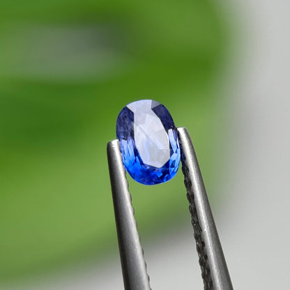 0.50 ct Natural Bicolour Blue - White Sapphire Vietnam. Cushion Shape. No Treatment.