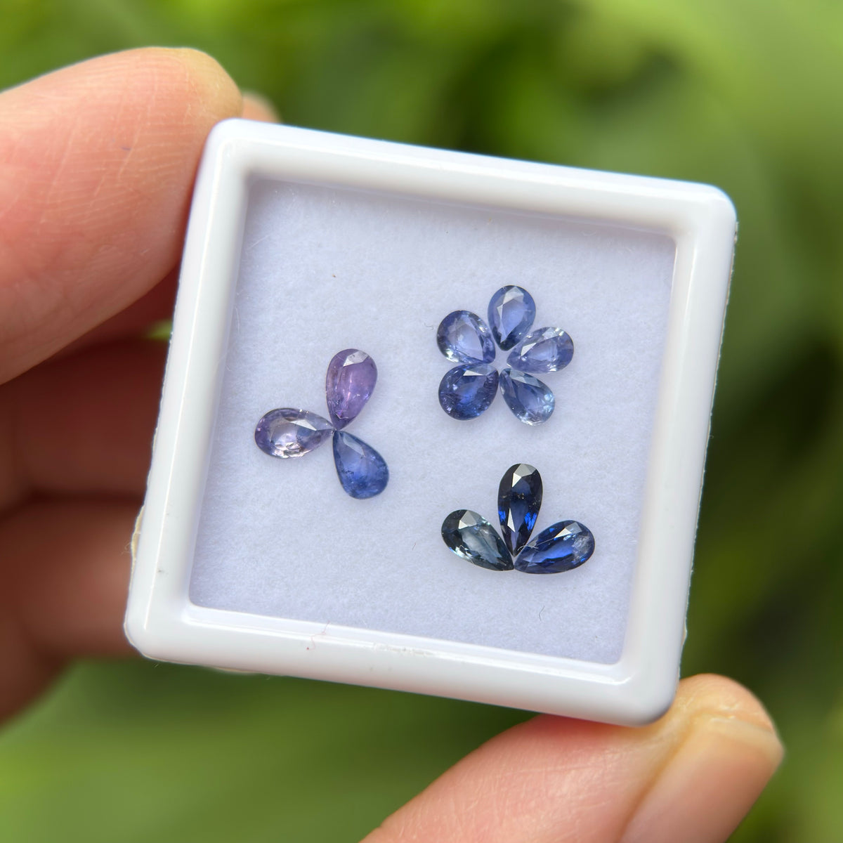 1,65ct/ 11Pcs Natural Blue & Purple Sapphire Viet Nam. Pear Shape. No Treatment Sapphire Luc Yen.
