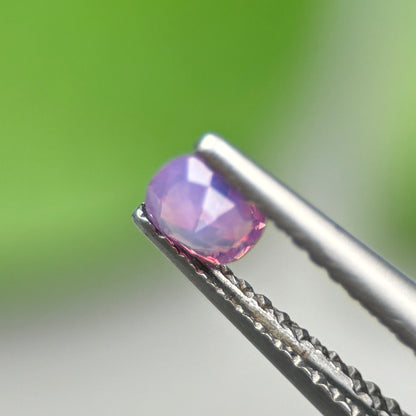 0,29ct Natural Pink Milky Sapphire Vietnam. Cushion Shape. No Treatment Milky Sapphire Luc Yen.