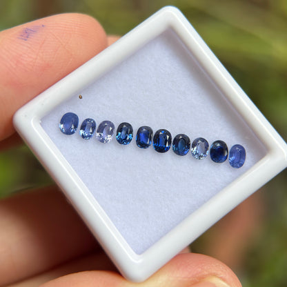 1,33ct/ 10Pcs Natural Blue Sapphire Viet Nam. Cushion & Oval Shape. No Treatment Sapphire Luc Yen.