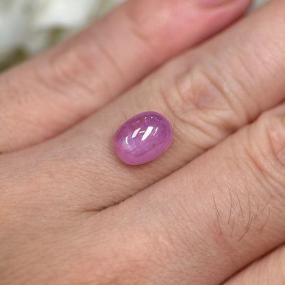 3,18ct Natural Pink Cacbochon Sapphire Viet Nam. No Treatment Sapphire Luc Yen.