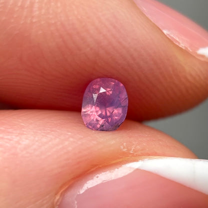 0.32ct Natural Milky Pink Sapphire Vietnam
