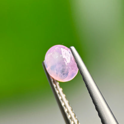 0.48ct Natural Pink Cacbochon Sapphire Viet Nam. No treatment Sapphire Luc Yen.