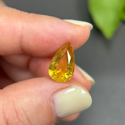3,94ct Natural Yellow Tourmaline Vietnam. Pear Shape. No Treatment, No Heat Tourmaline Luc Yen.