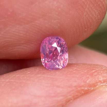 0.39 ct Natural Pink Sapphire Vietnam. Cushion Shape. No Treatment.