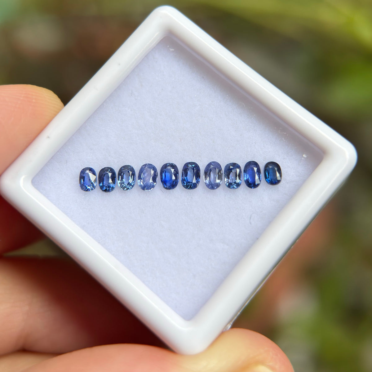 0,91ct/ 10Pcs Natural Blue Sapphire Viet Nam. Cushion & Oval Shape. No Treatment Sapphire Luc Yen.