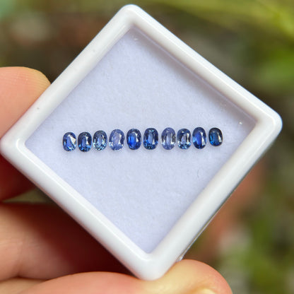 0,91ct/ 10Pcs Natural Blue Sapphire Viet Nam. Cushion & Oval Shape. No Treatment Sapphire Luc Yen.