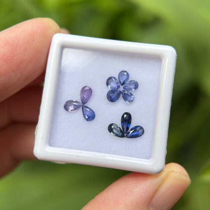 1,65ct/ 11Pcs Natural Blue & Purple Sapphire Viet Nam. Pear Shape. No Treatment Sapphire Luc Yen.