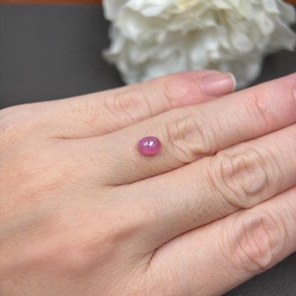 1.21ct Natural Orangish Pink Milky Cacbochon Sapphire Viet Nam. No Treatment Sapphire Luc Yen.