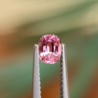 0.61 ct Natural Pink Spinel Vietnam. Cushion Shape. No Treatment.