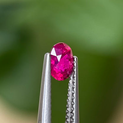 0.60 ct Natural Ruby Viet Nam. Oval Shape. No treatment.