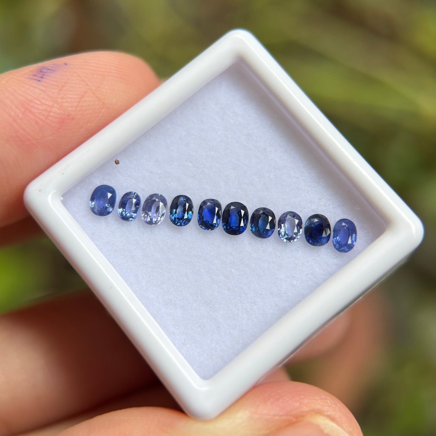 1,33ct/ 10Pcs Natural Blue Sapphire Viet Nam. Cushion & Oval Shape. No Treatment Sapphire Luc Yen.