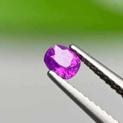 0.28 ct Natural Purple Sapphire Vietnam. Cushion Shape.