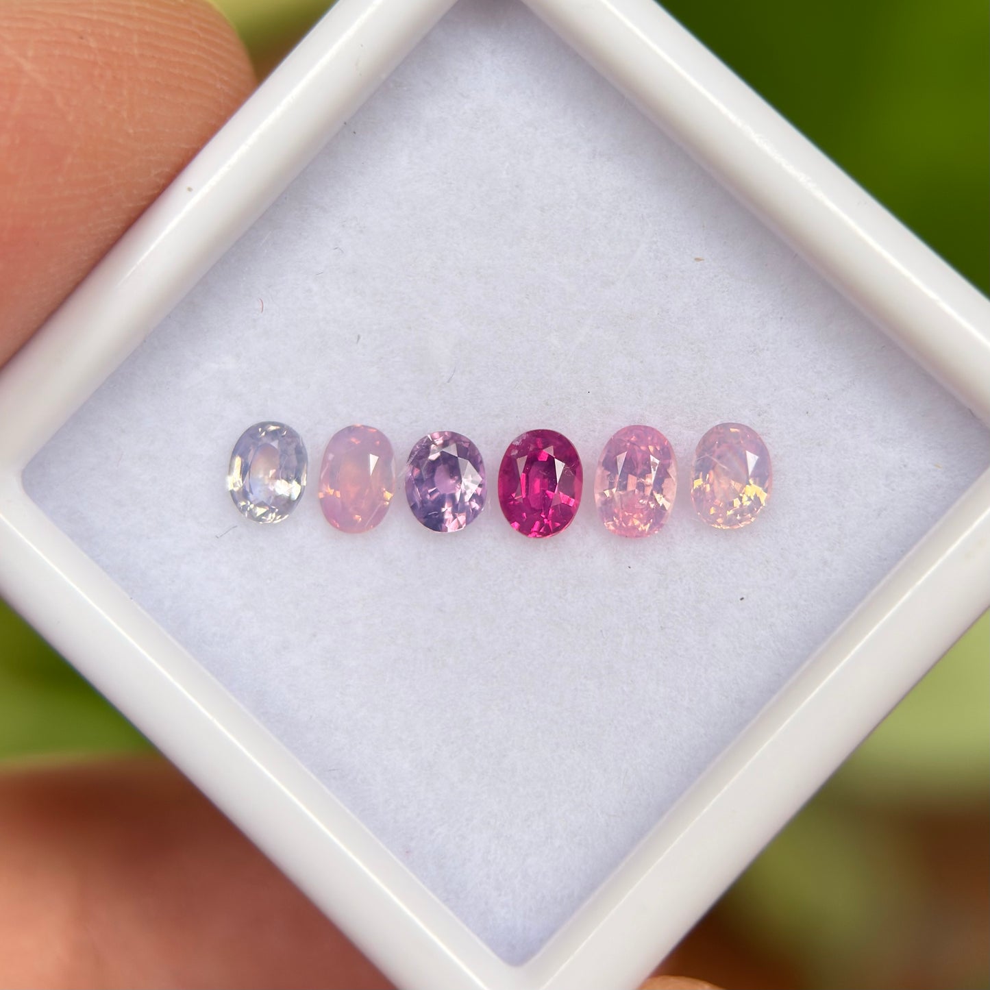 0.95ct/6Pcs Natural Mix Color Milky Sapphire Vietnam. Oval Shape.
