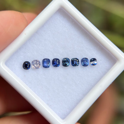0,86ct/ 8Pcs Natural Blue & White Sapphire Viet Nam. Cushion Shape. No Treatment Sapphire Luc Yen.