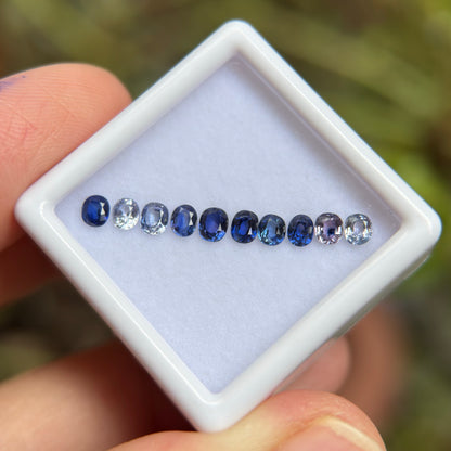 1,25ct/ 10Pcs Natural Blue & White Sapphire Viet Nam. Cushion Shape. No Treatment Sapphire Luc Yen.