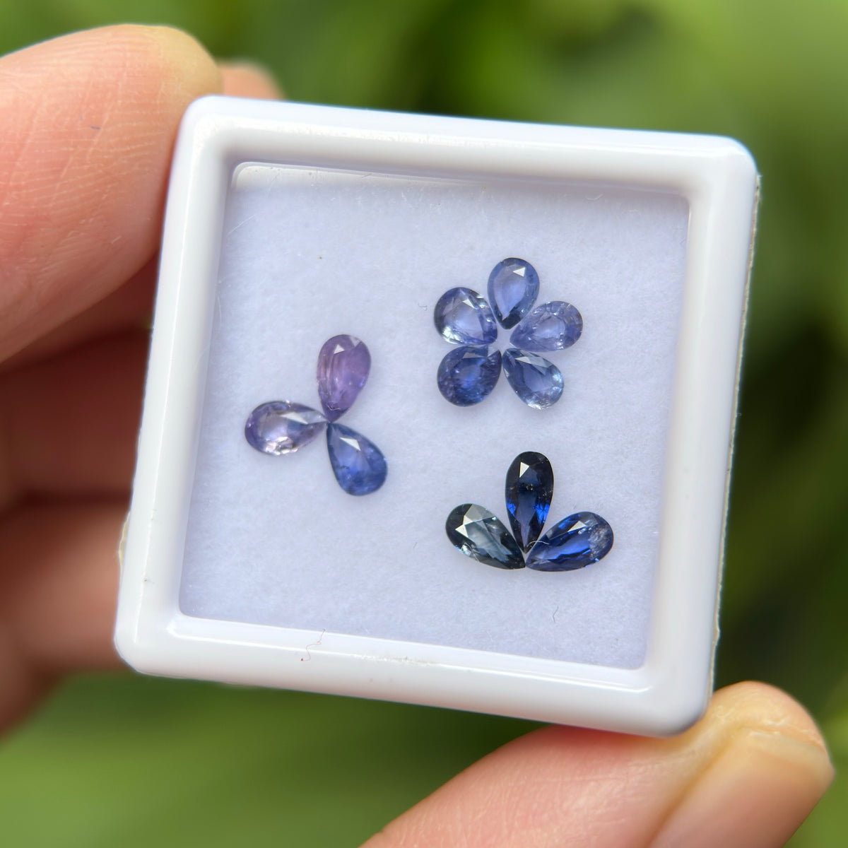 1,65ct/ 11Pcs Natural Blue & Purple Sapphire Viet Nam. Pear Shape. No Treatment Sapphire Luc Yen.