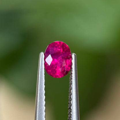 0.60 ct Natural Ruby Viet Nam. Oval Shape. No treatment.