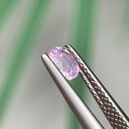 0.60ct Natural Milky Pink Sapphire Vietnam