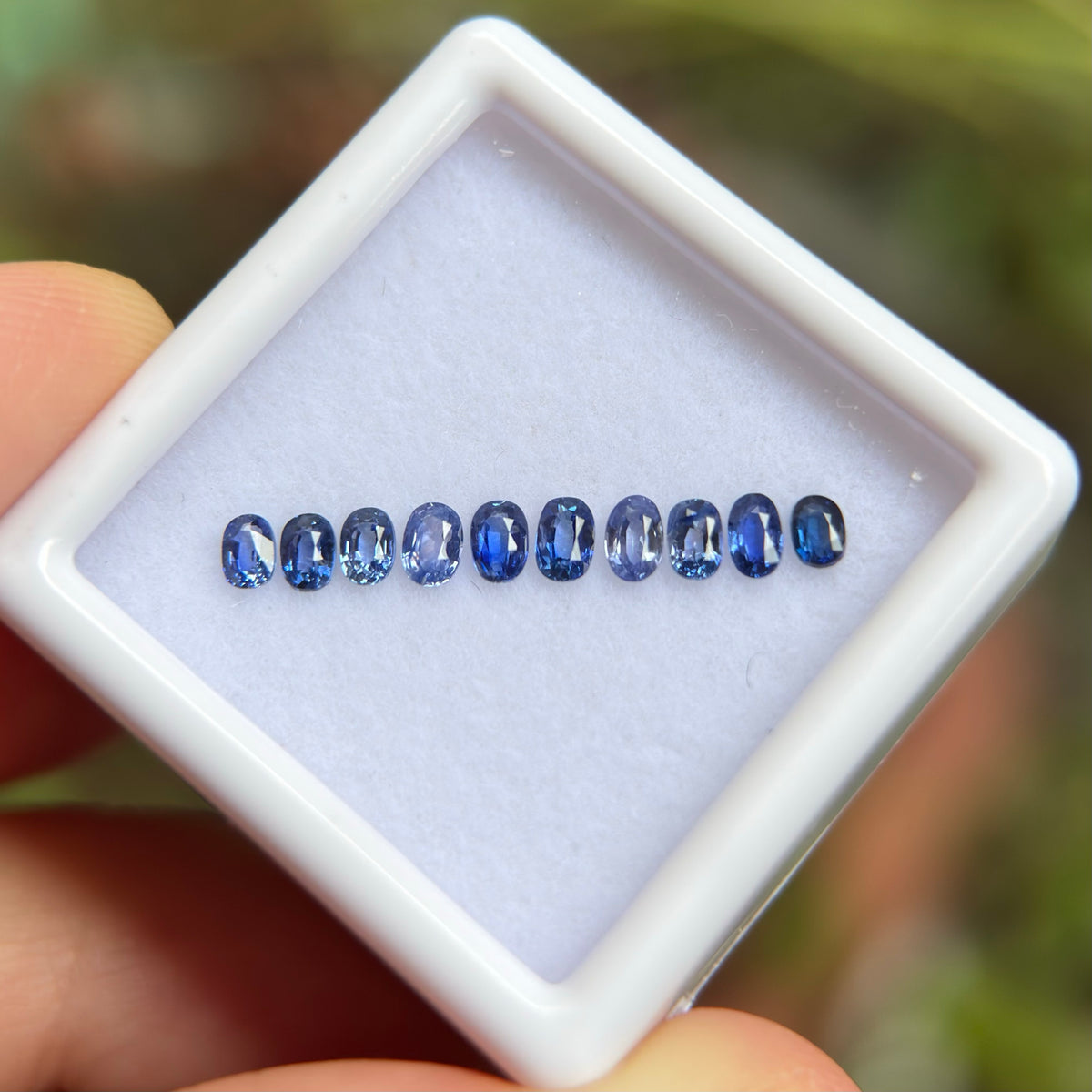 0,91ct/ 10Pcs Natural Blue Sapphire Viet Nam. Cushion & Oval Shape. No Treatment Sapphire Luc Yen.