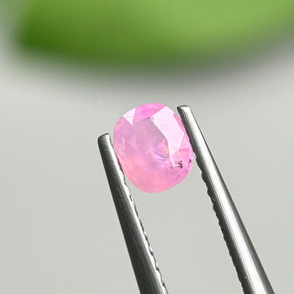 0,39ct Natural Pink Milky Sapphire Vietnam. Cushion Shape. No Treatment Milky Sapphire Luc Yen.