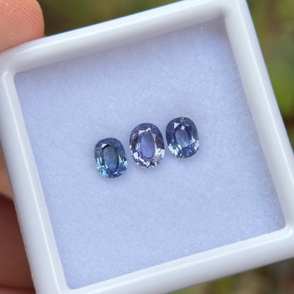 1,12ct/ 3Pcs Natural Blue Sapphire Viet Nam. Cushion Shape. No Treatment Sapphire Luc Yen.