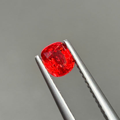 0,63ct Natural Red Spinel Viet Nam. Cushion Shape. No Treatment Spinel Luc Yen.