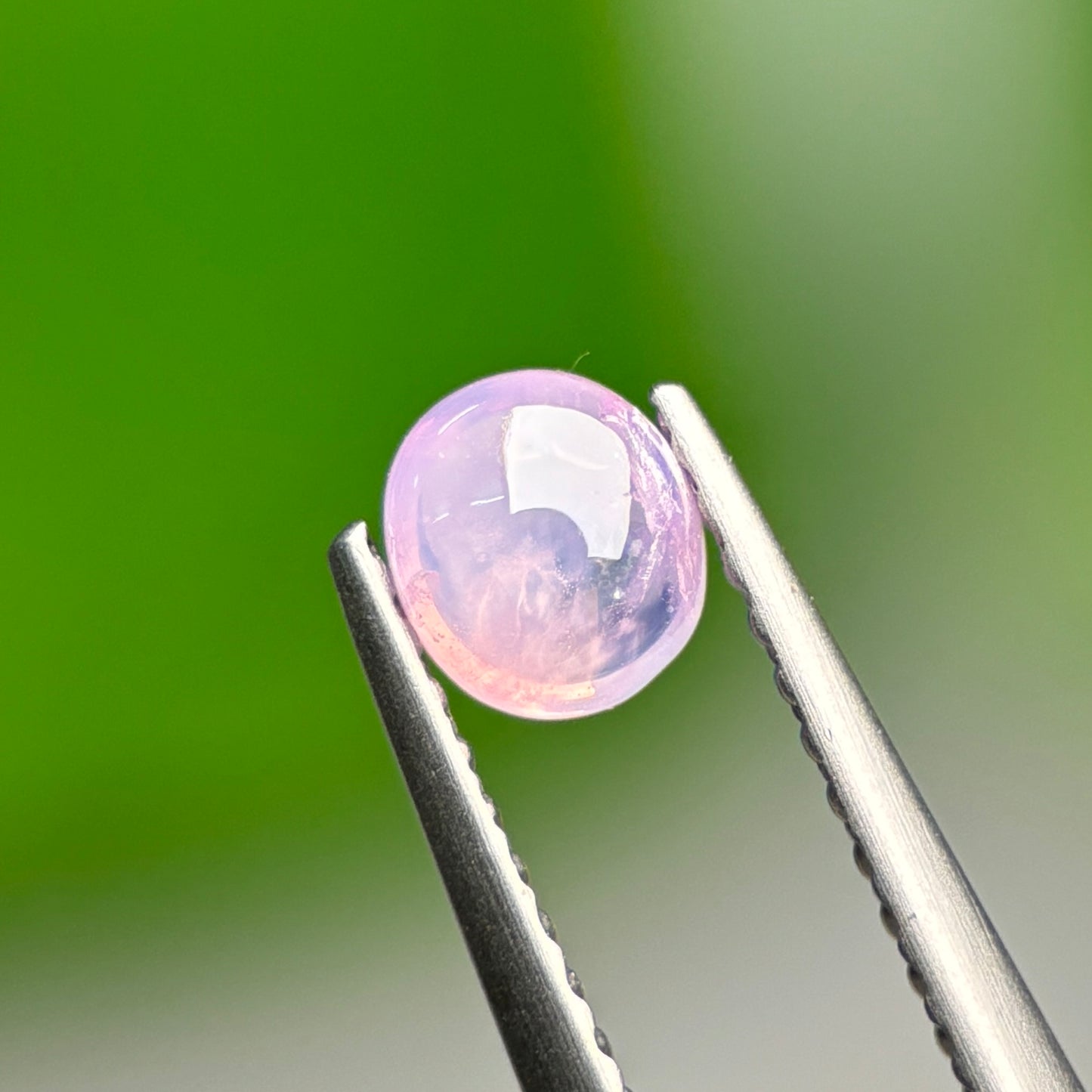 0.48ct Natural Pink Cacbochon Sapphire Viet Nam. No treatment Sapphire Luc Yen.