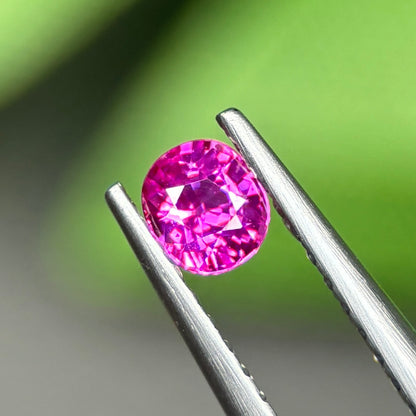 0,29ct Natural Pink Sapphire Viet Nam. Cushion Shape. No Treatment Sapphire Luc Yen.