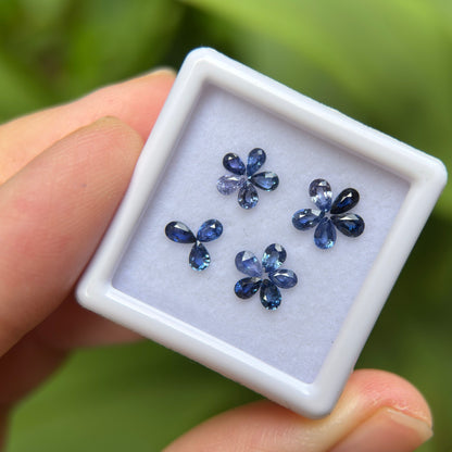 1,68ct/ 18Pcs Natural Blue Sapphire Viet Nam. Pear Shape. No Treatment Sapphire Luc Yen.
