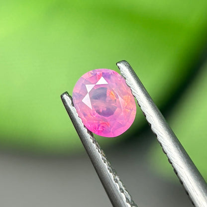 0,54 Natural Pink Milky Sapphire Vietnam. Oval Shape. No Treatment Milky Sapphire Luc Yen.